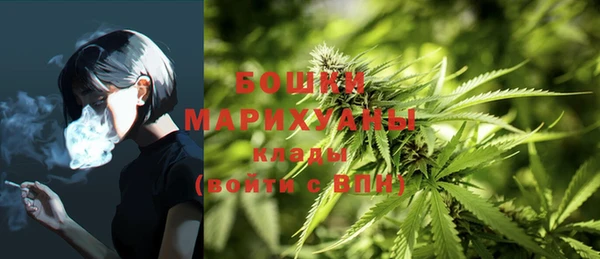 spice Кинешма