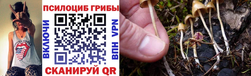 Купить закладки  Малмыж  Галлюциногенные грибы GOLDEN TEACHER 